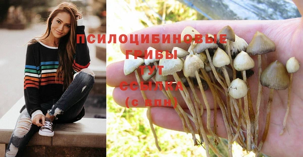 кокаин премиум Арсеньев